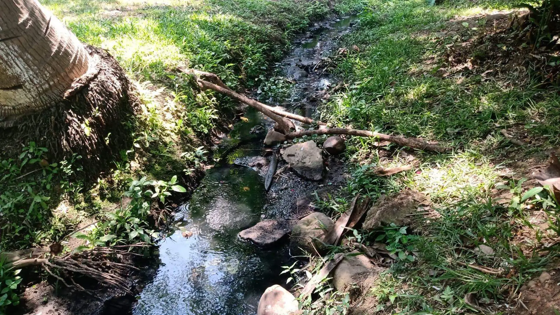 Arroyo contaminado